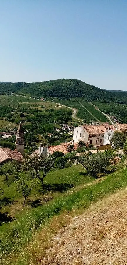 Rooms Serafin-Lavanda Motovun Guest house
