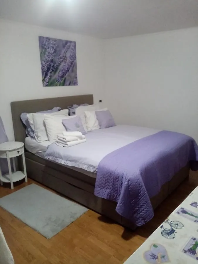 Rooms Serafin-Lavanda Motovun Guest house