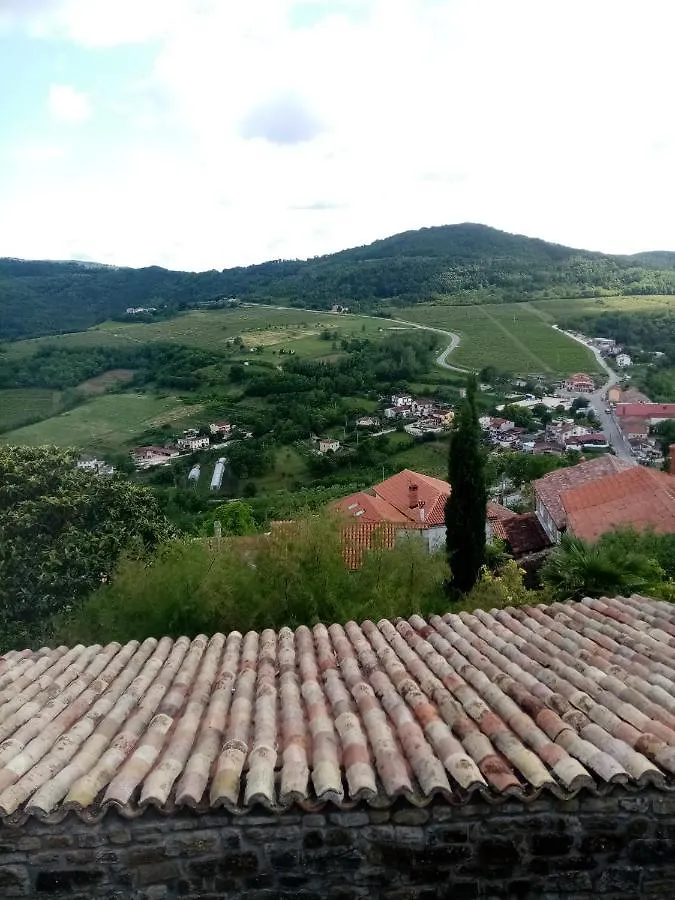 Rooms Serafin-Lavanda Motovun Guest house
