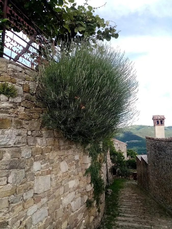 Rooms Serafin-Lavanda Motovun