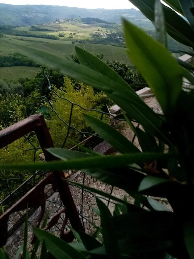 Guest house Rooms Serafin-Lavanda Motovun