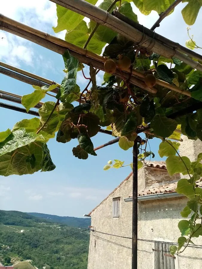 Gostinjska kuća Rooms Serafin-Lavanda